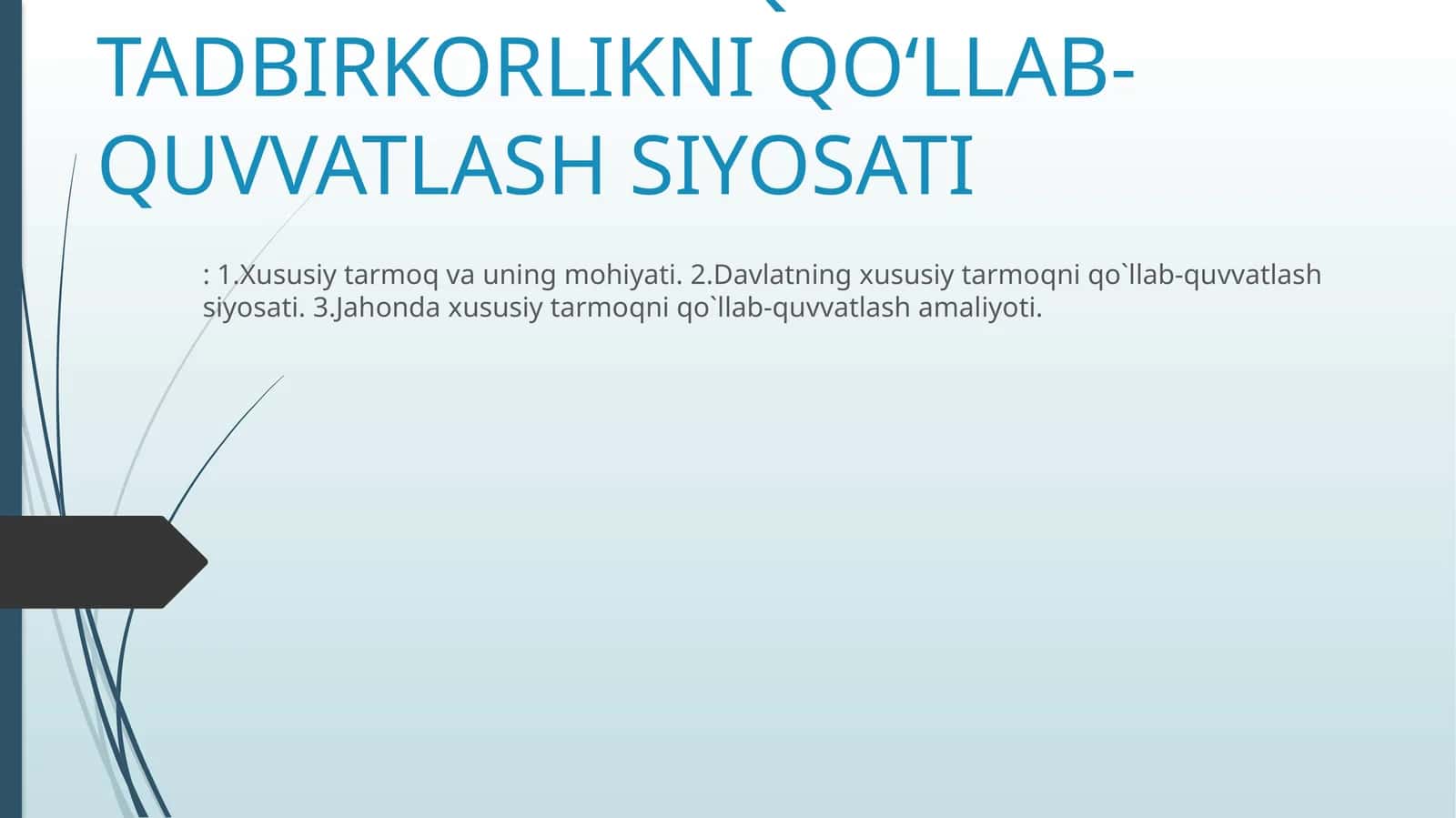 Davlatning iqtisodiyotda xususiy tarmoq va tadbirkorlikni qo‘llab-quvvatlash siyosati 1