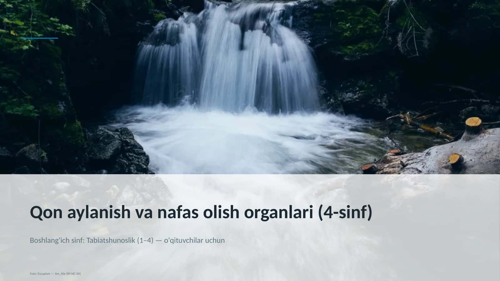 Qon aylanish va nafas olish organlari (4-sinf) 1
