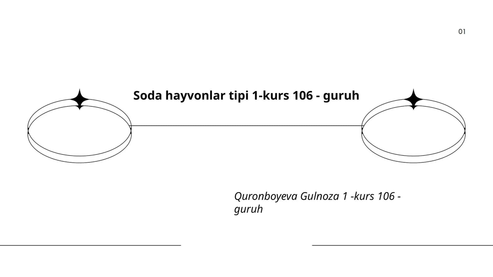 Soda hayvonlar tipi 1-kurs 106 - guruh 1