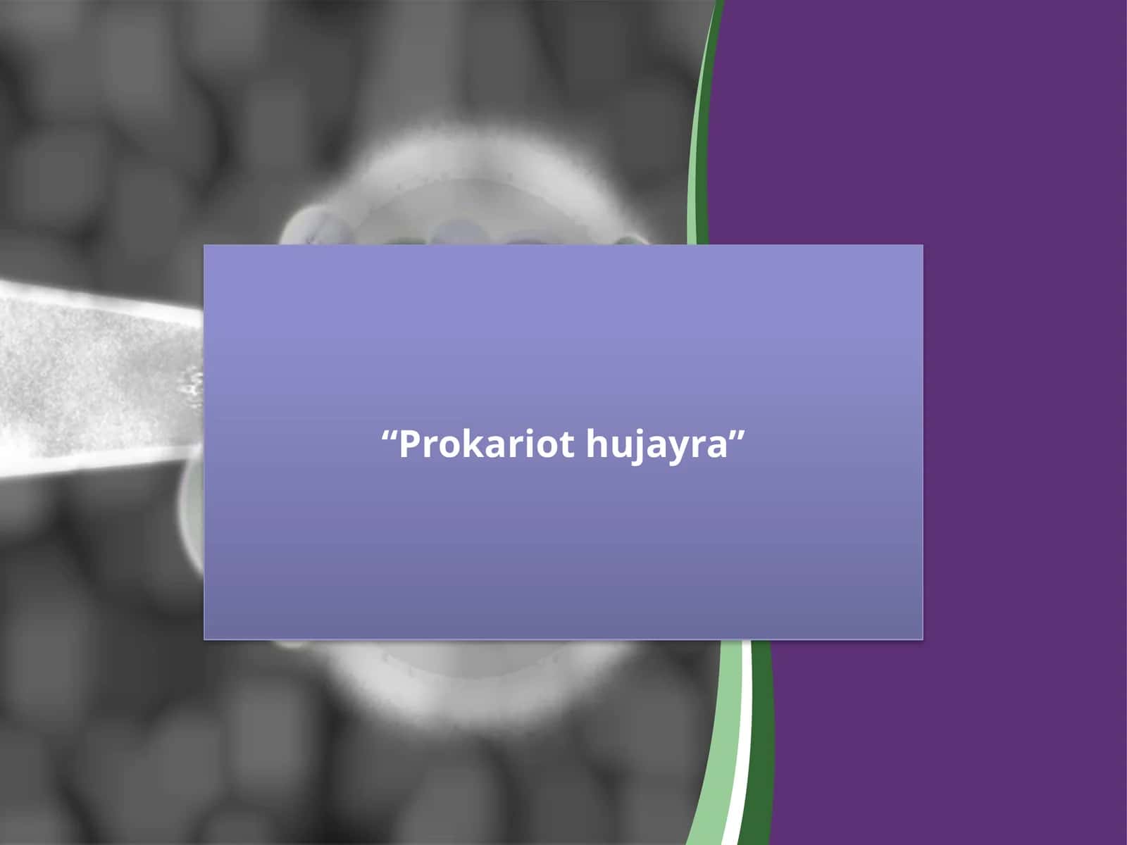 Prokariothujayra 1