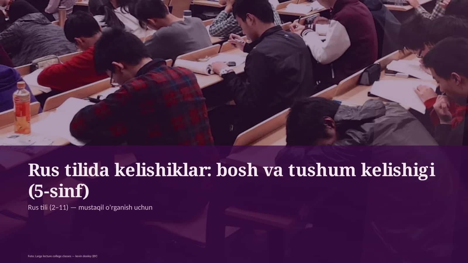 Rus tilida kelishiklar: bosh va tushum kelishigi (5-sinf) 1