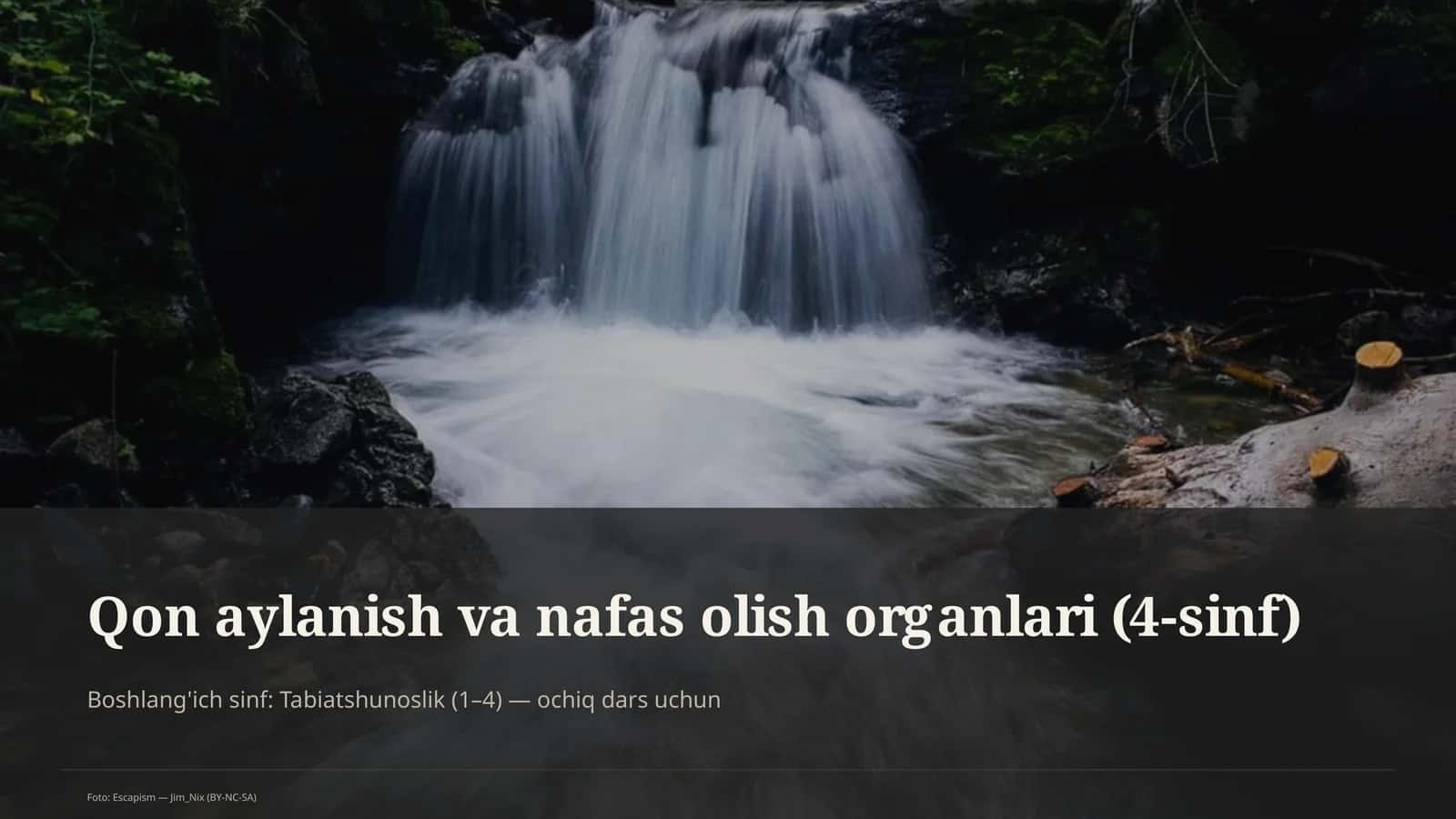 Qon aylanish va nafas olish organlari (4-sinf) 1