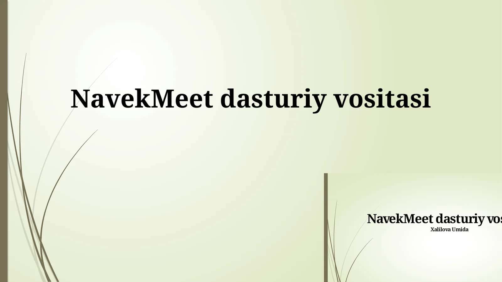 NavekMeet dasturiy vositasi 1