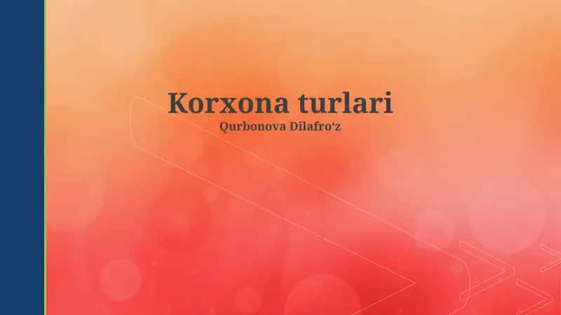 Korxona turlari 1