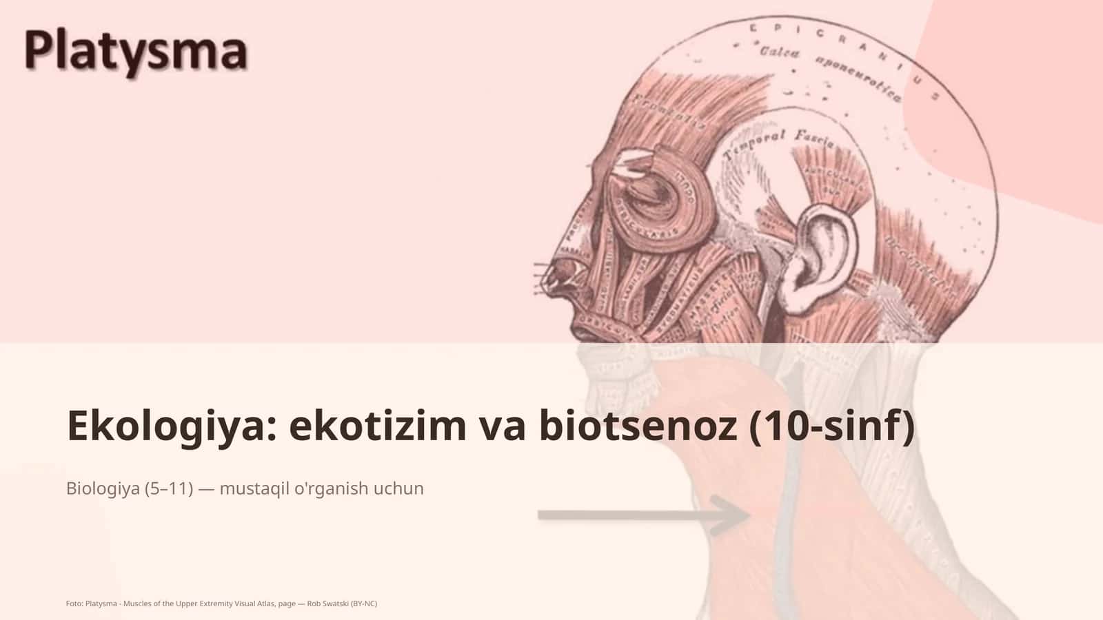 Ekologiya: ekotizim va biotsenoz (10-sinf) 1