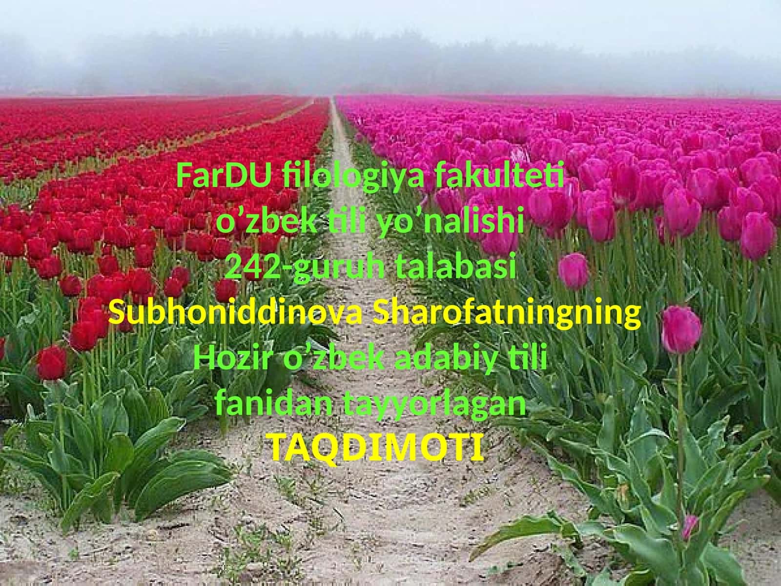 o'zbek til yo'nalishi 1