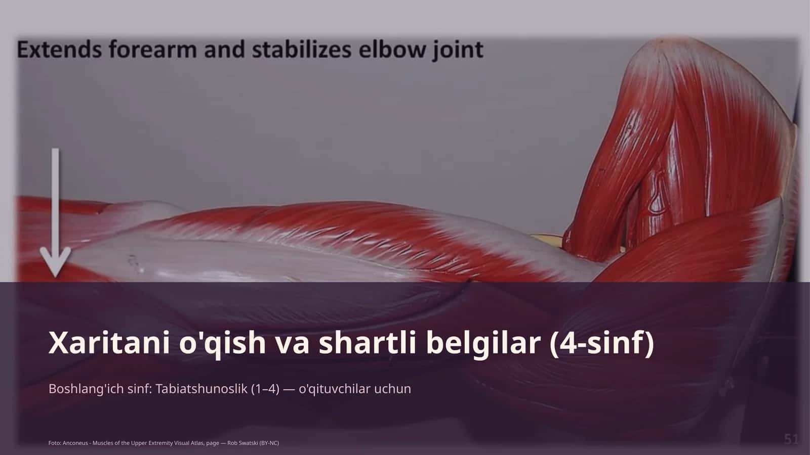 Tabiatshunoslik (1–4) — o'qituvchilar uchun 1