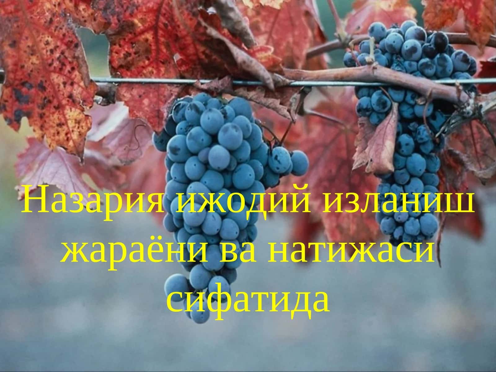Назария ижодий изланиш жараёни 1