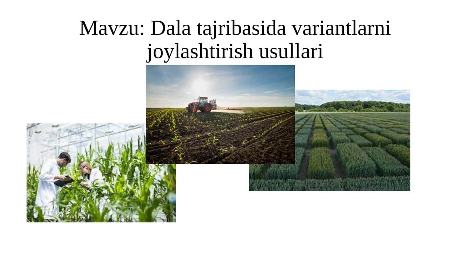 Dala tajribasida variantlarni joylashtirish usullari 1