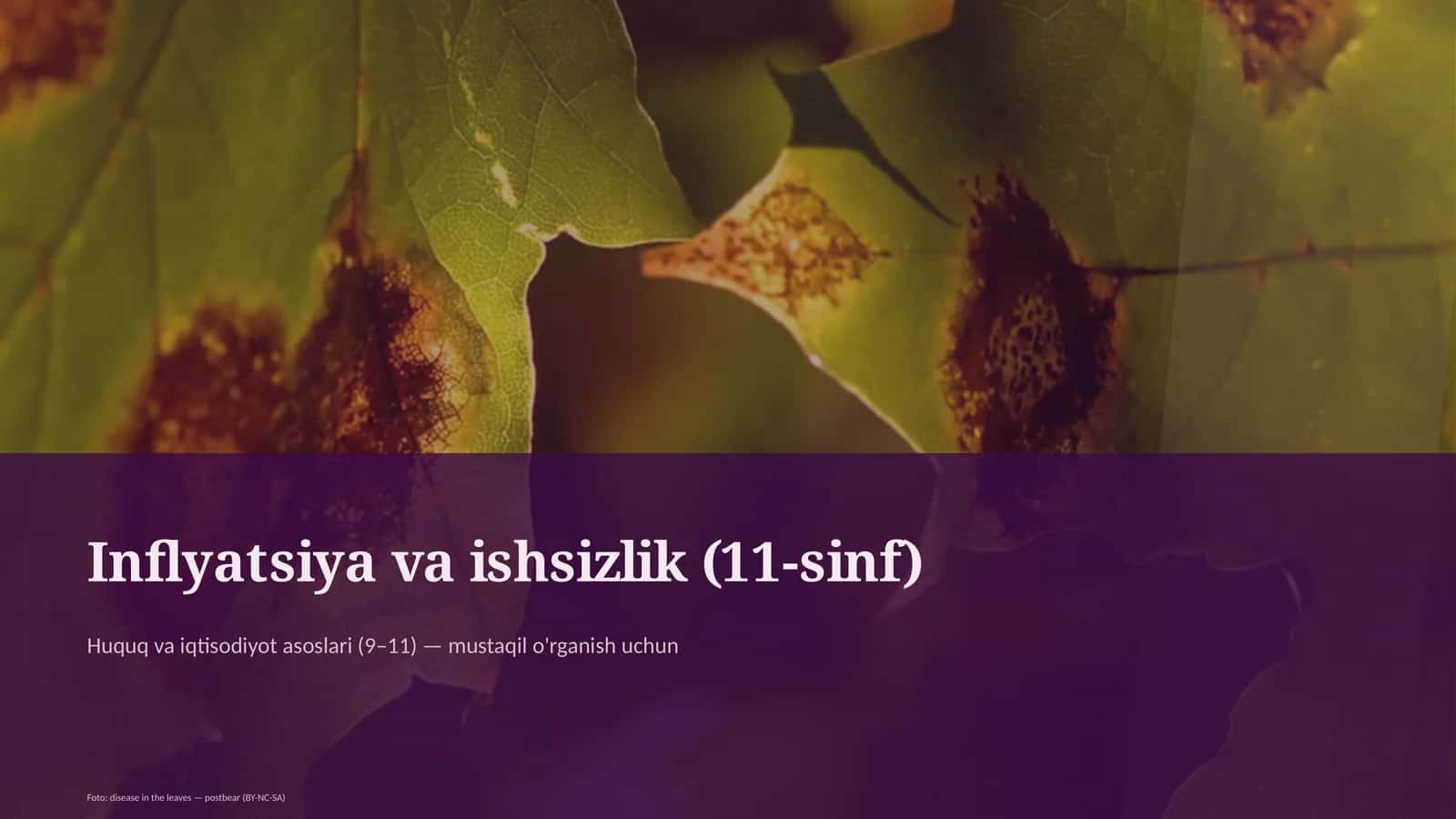 Huquq va iqtisodiyot asoslari (9–11) 1