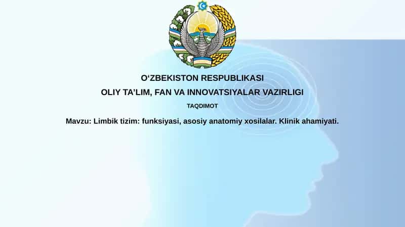 Limbik Tizim 1