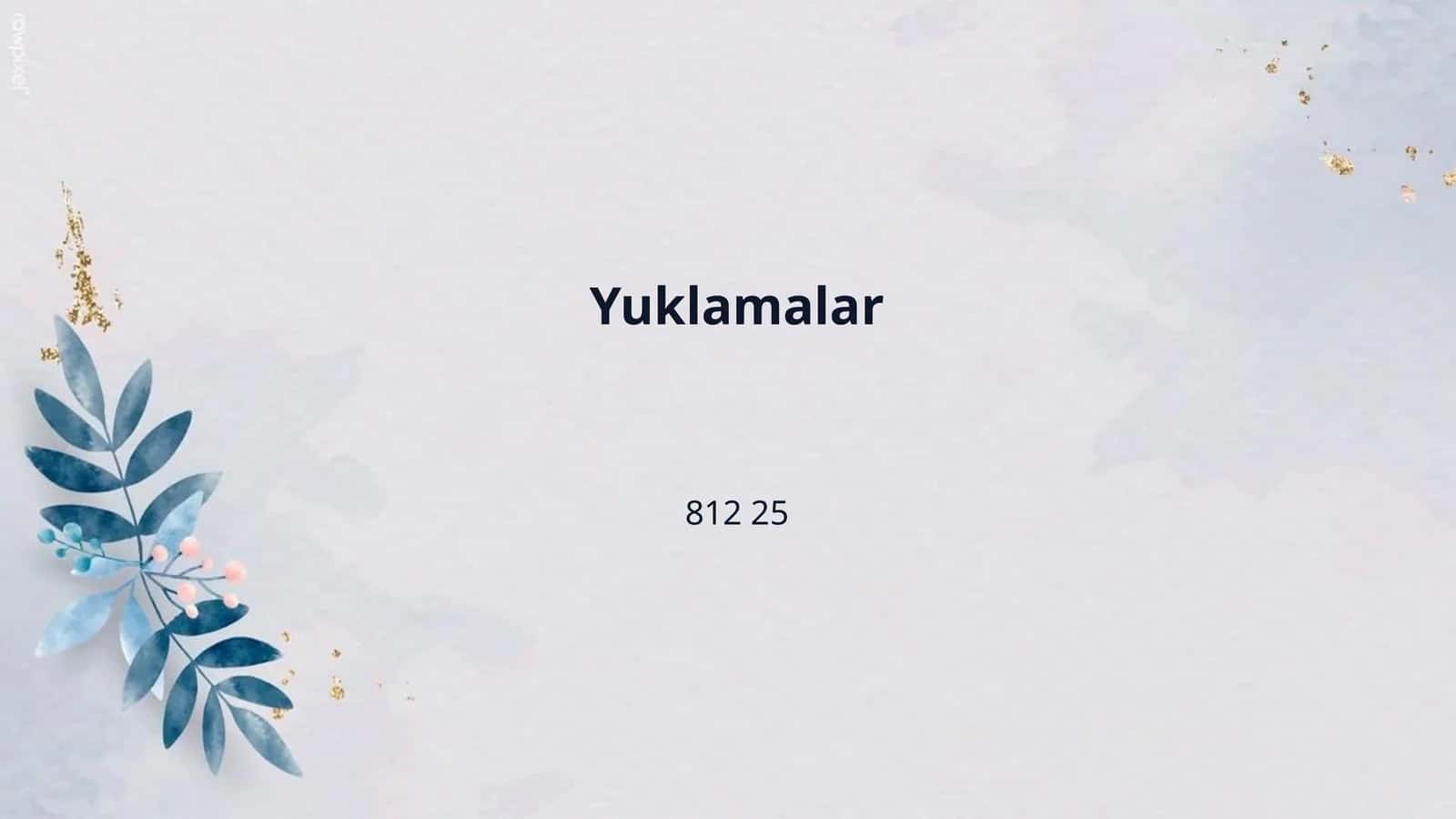 Yuklamalar 1