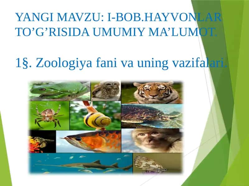 Zoologiya 1
