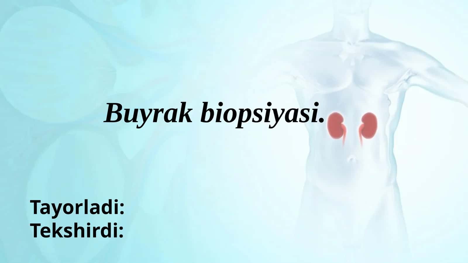 Buyrak biopsiyasi 1