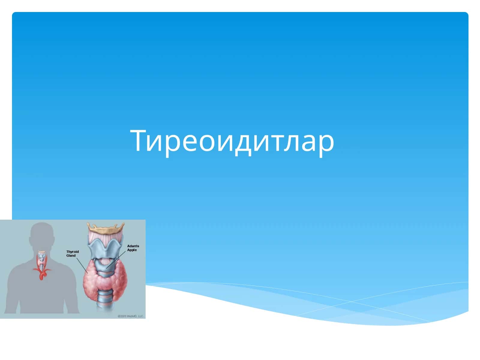Тиреоидитлар 1