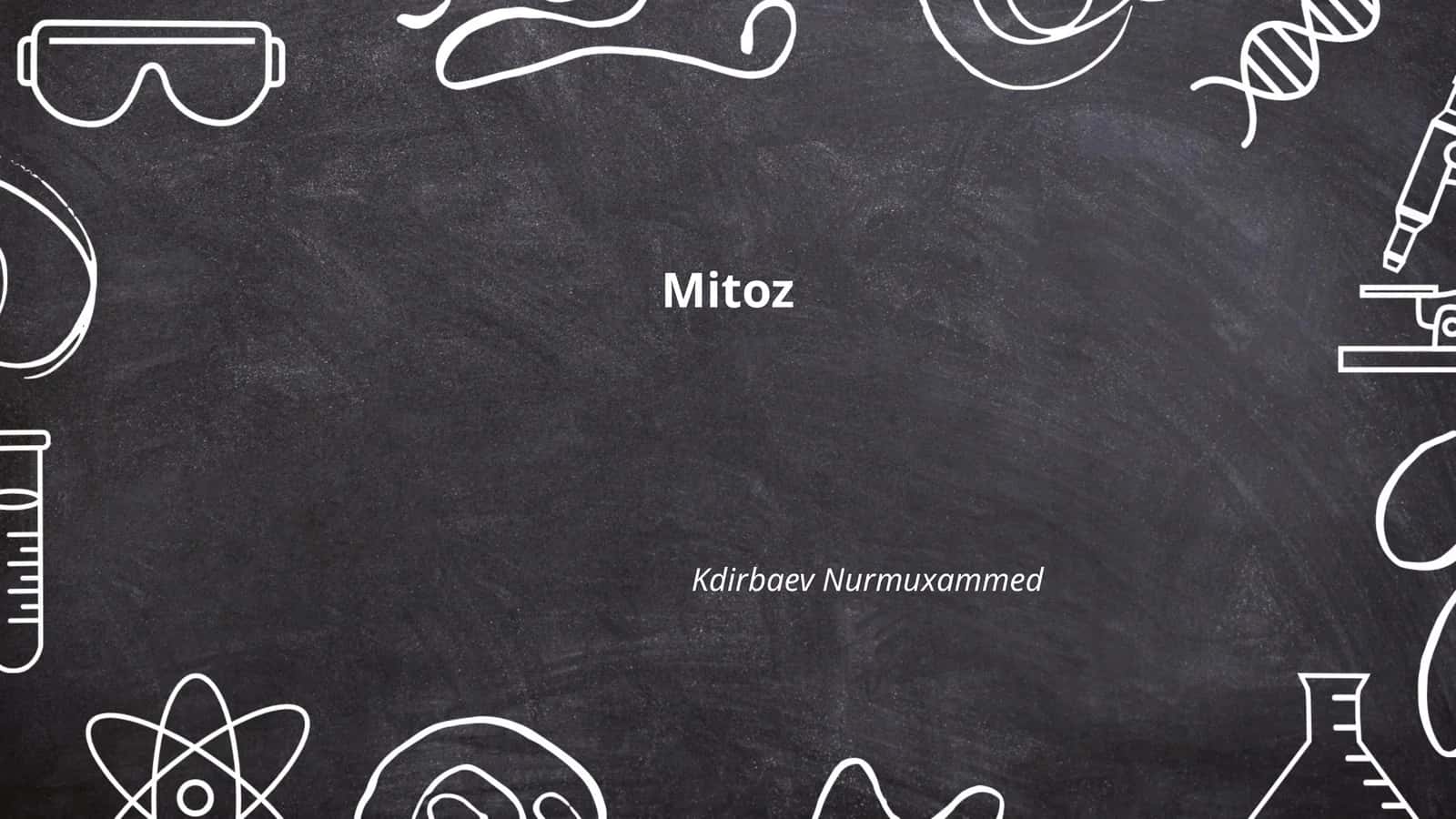 Mitoz 1
