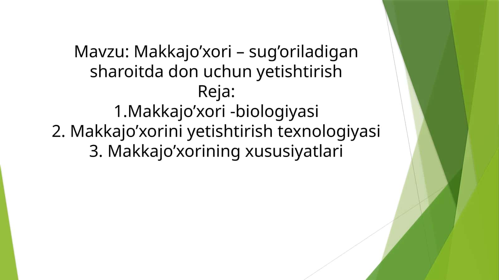 Makkajo’xori–sug’oriladigansharoitdadonuchunyetishtirish 1