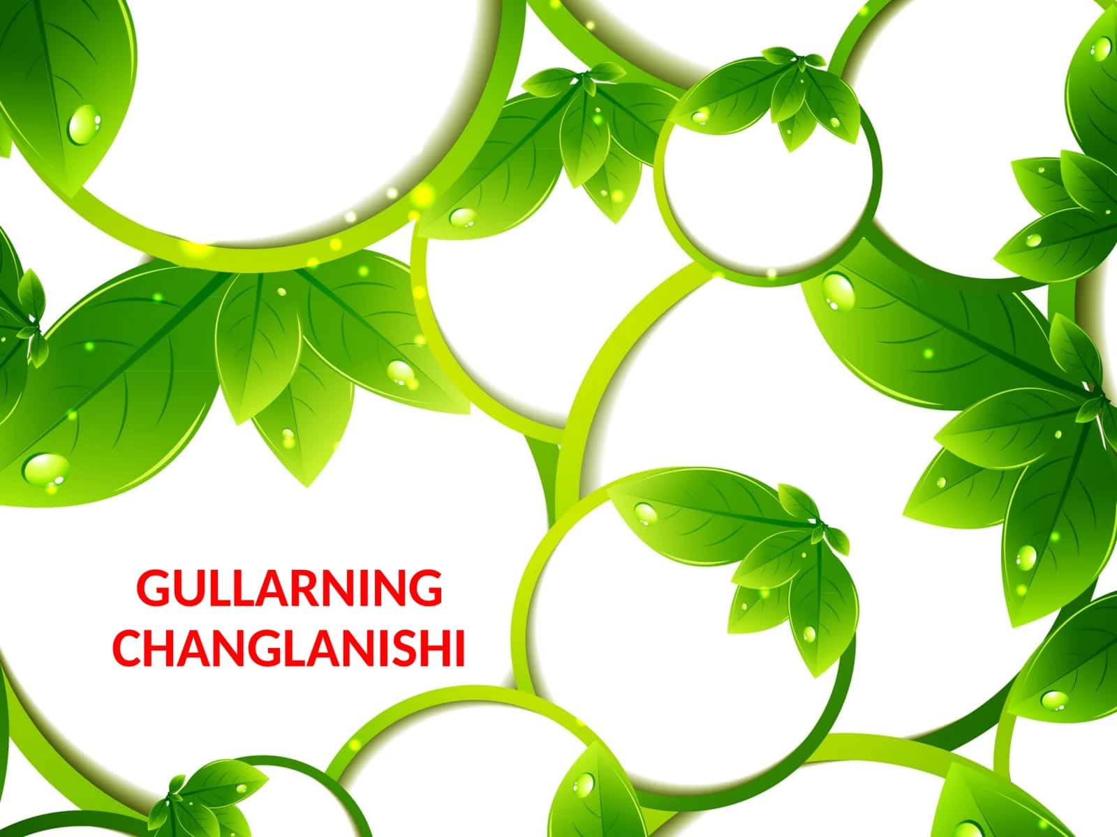 GULLARNING CHANGLANISHI 1