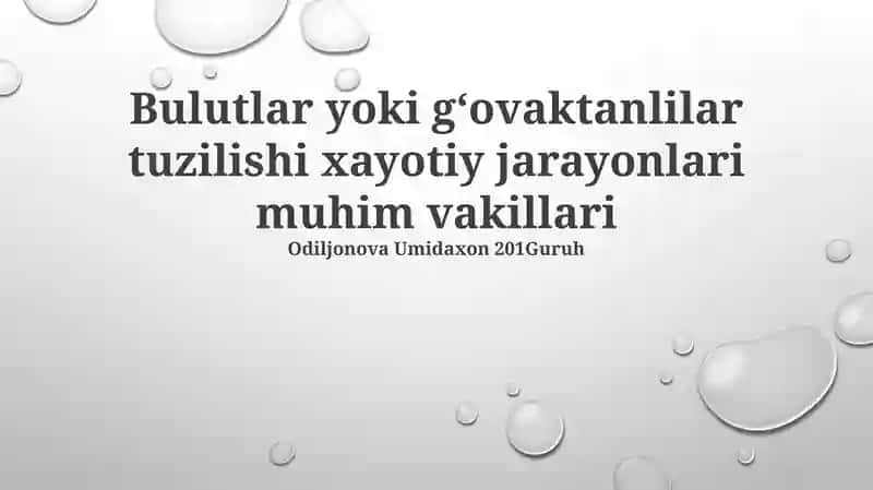 Bulutlar va gözenekli tuzilmalar
