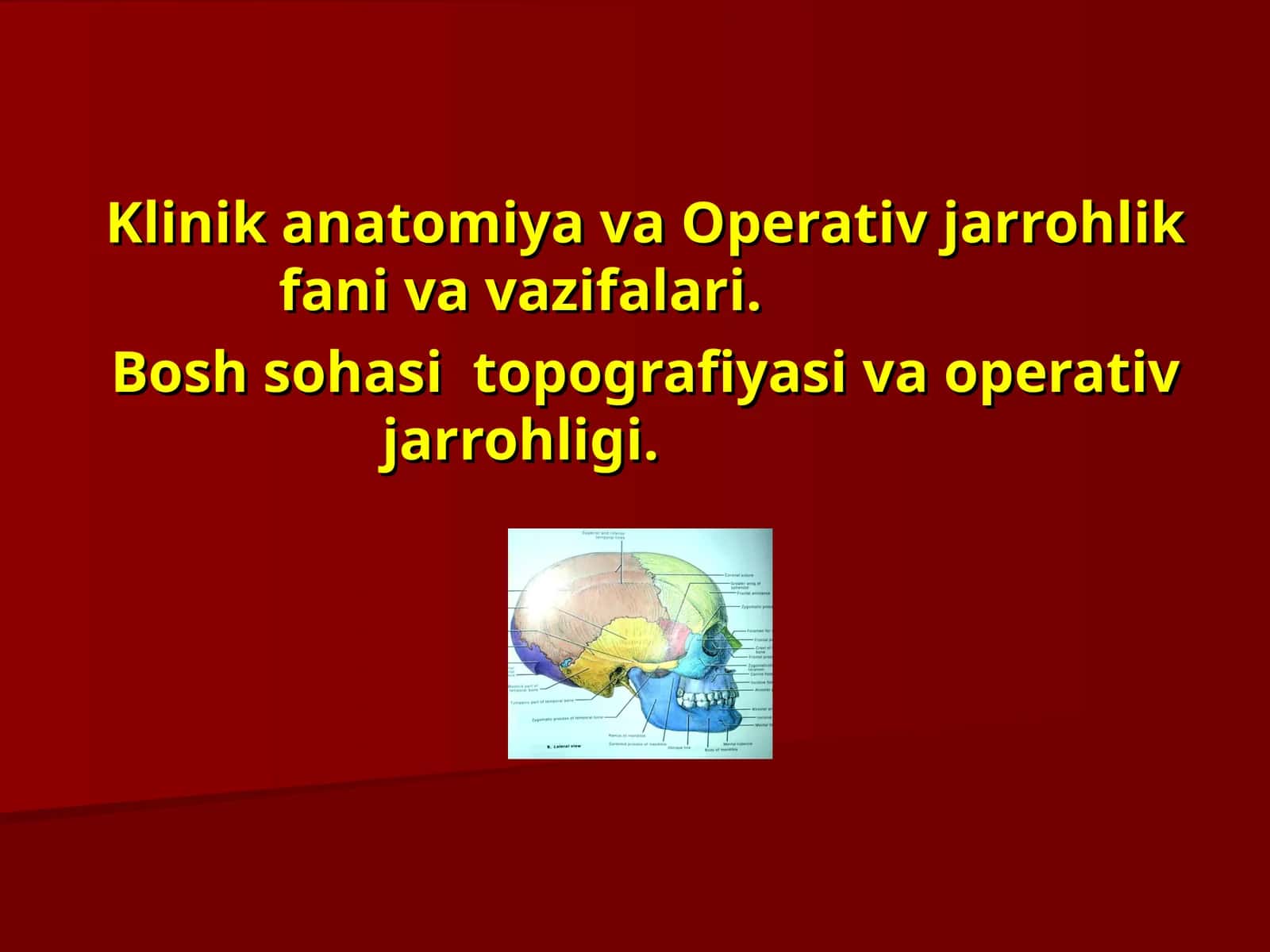Klinikаnatomiya vaОperativjarrohlikfanivavazifalari 1