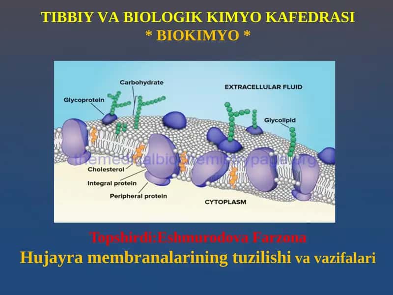 Biologik membran funksiyalari 1