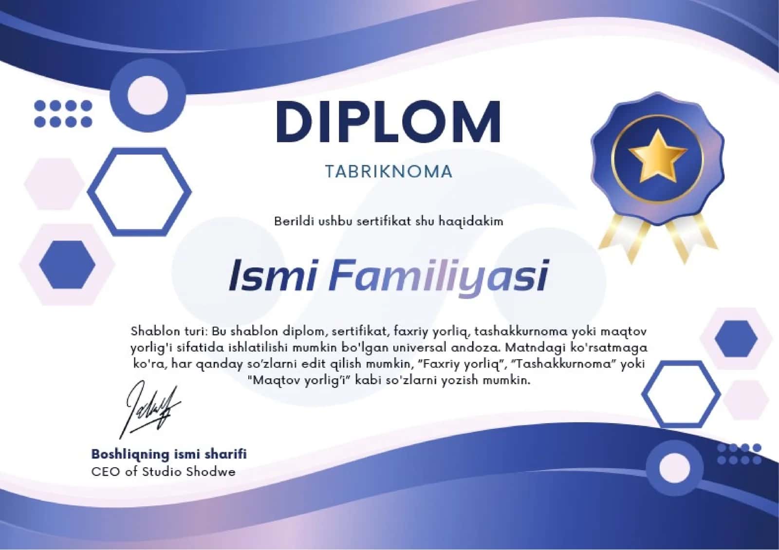 DIPLOM 1