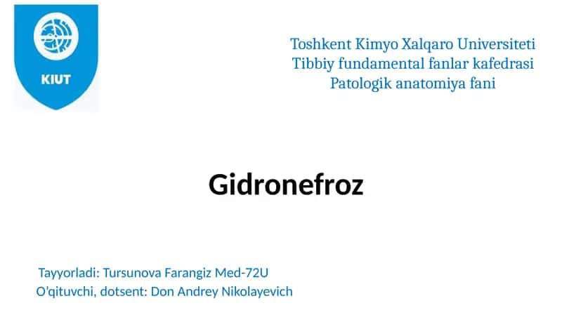 Gidronefroz 1