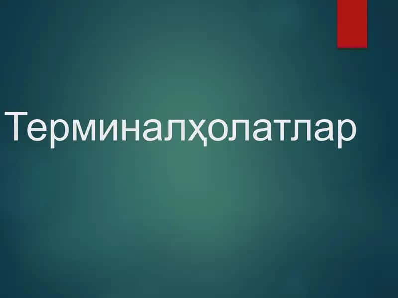 Терминалҳолатлар 1