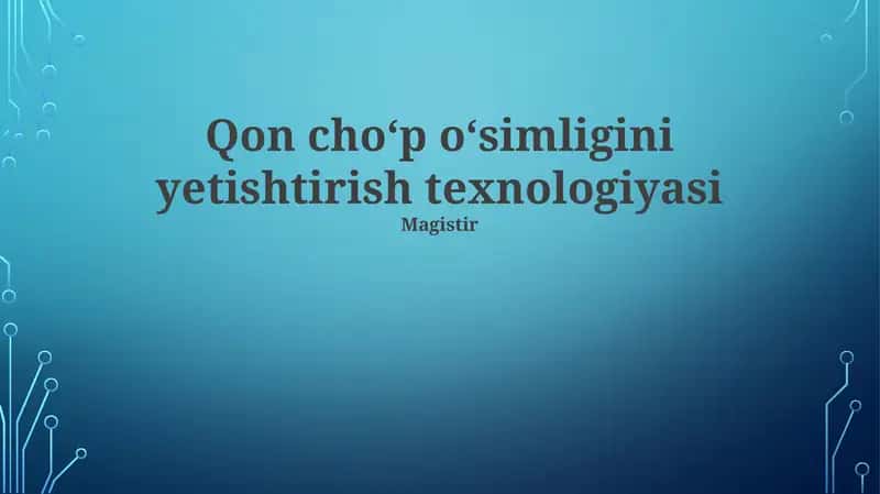 Qon choʻp oʻsimligini yetishtirish texnologiyasi 1