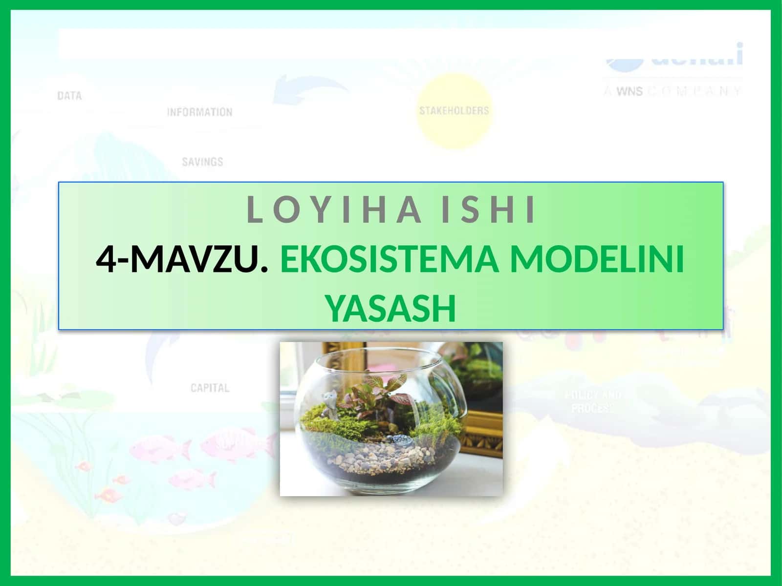 Ekosistema modelini yasash 1
