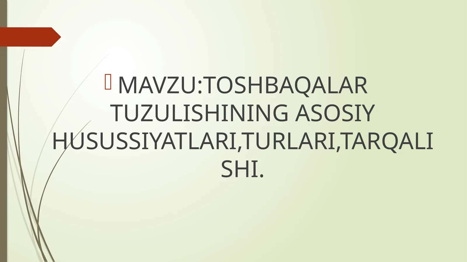 TOSHBAQALAR TUZULISHINING ASOSIY HUSUSSIYATLARI,TURLARI,TARQALISHI 1