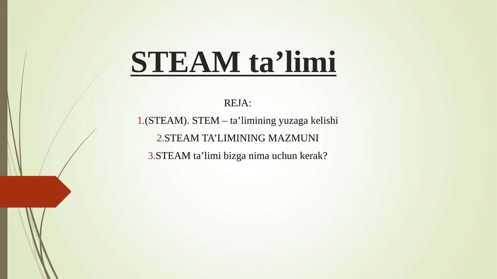 STEAM ta’limi 1