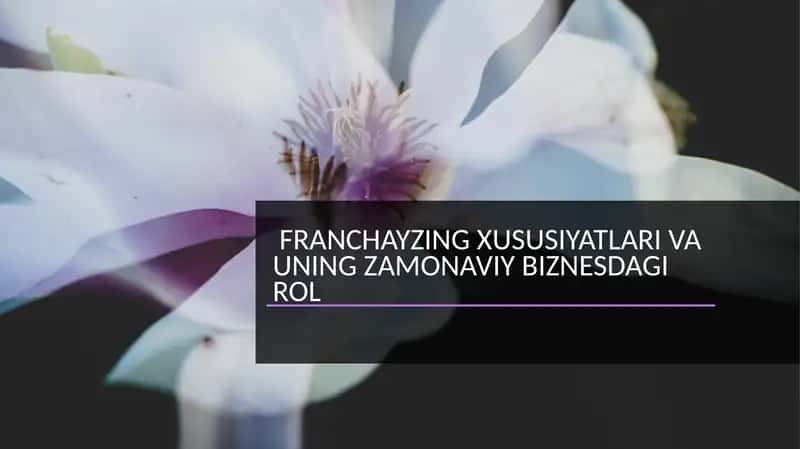 Franchayzing xususiyatlari va uning zamonaviy biznesdagi roli 1