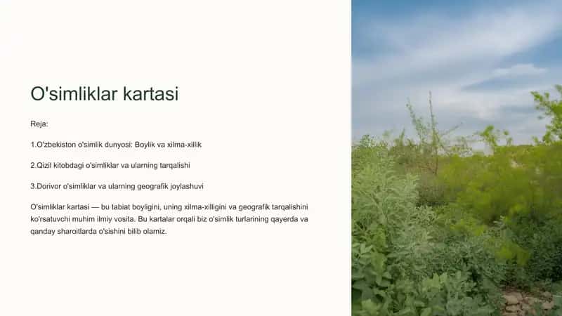 O'simliklar kartasi 1