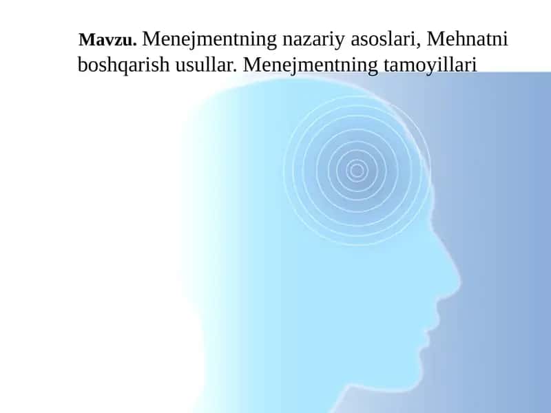 Menejmentningnazariyasoslari 1