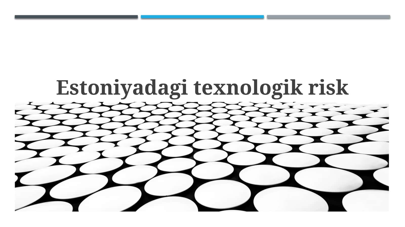 Estoniyadagitexnologikrisk 1