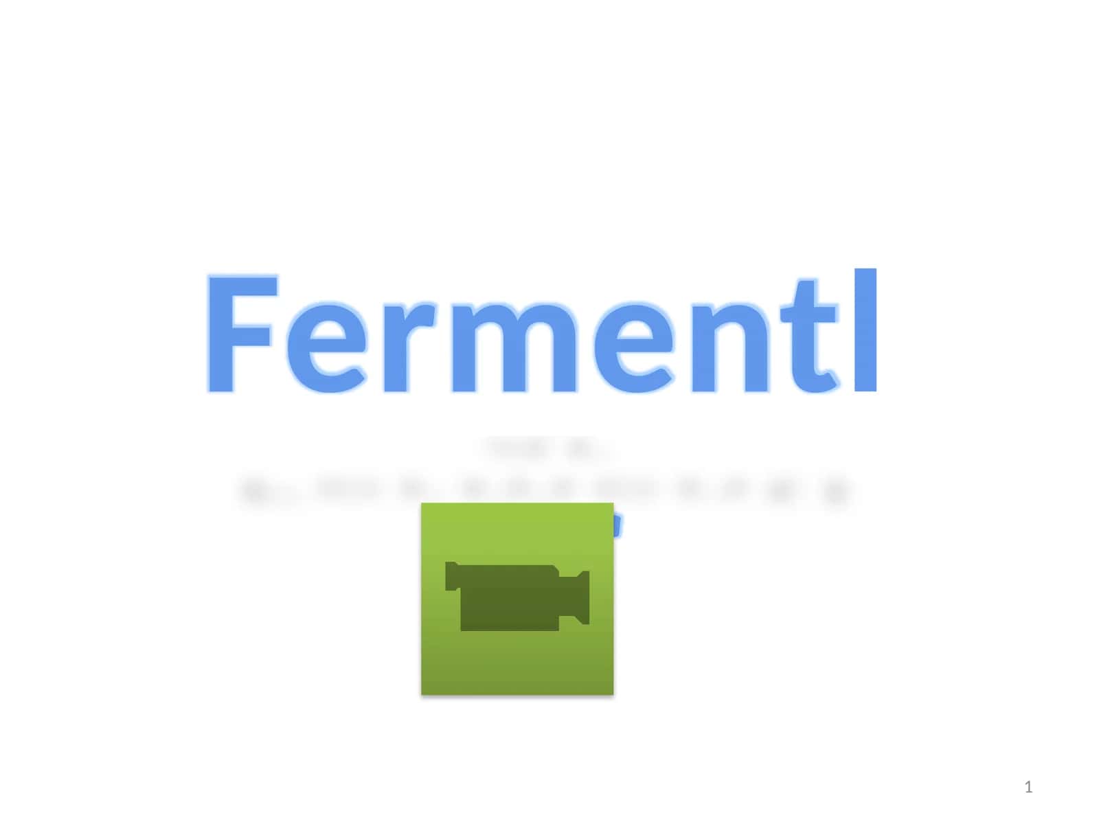 Fermentlar 1