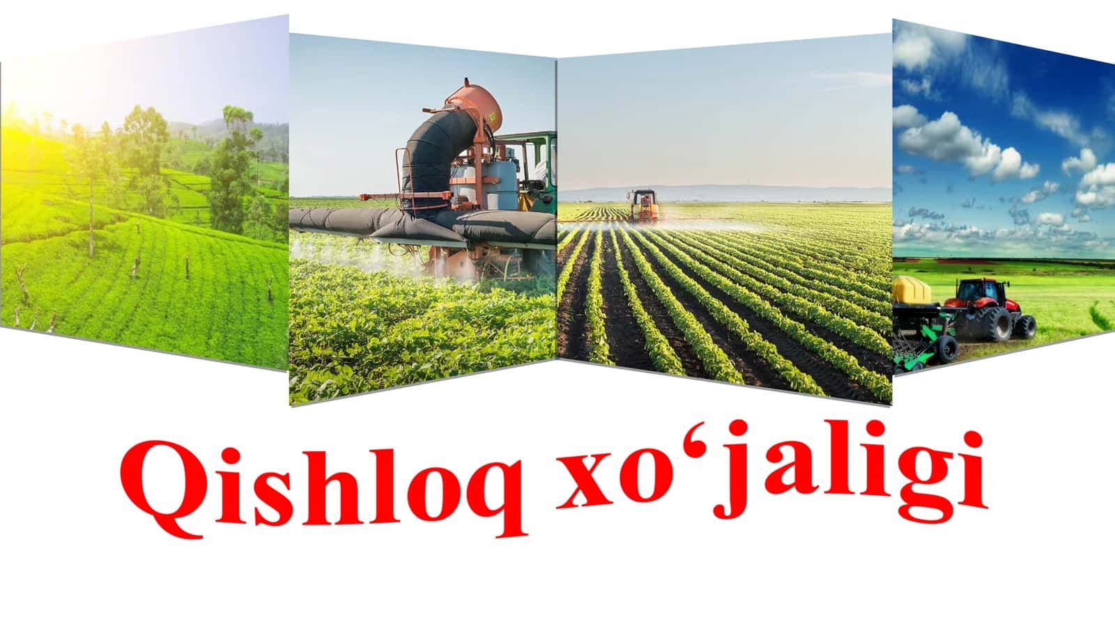 Qishloq xo‘jaligi 1
