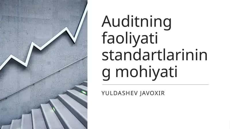 Auditning faoliyati standartlarining mohiyati 1