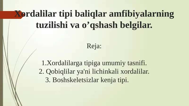 Xordalilar tipi baliqlar amfibiyalarning tuzilishi va o’xshash belgilar. 1