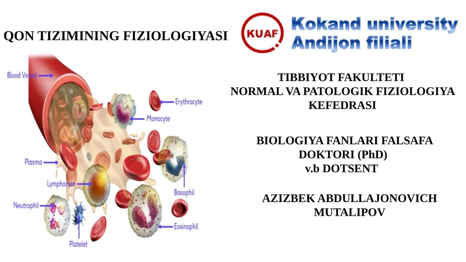 QON TIZIMINING FIZIOLOGIYASI 1