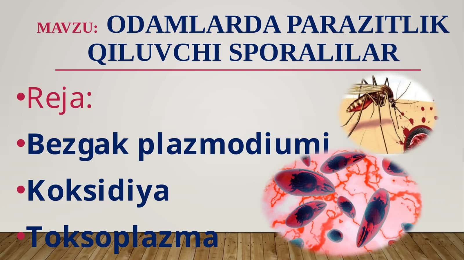 Odamlarda parazitlik qiluvchi sporalilar 1