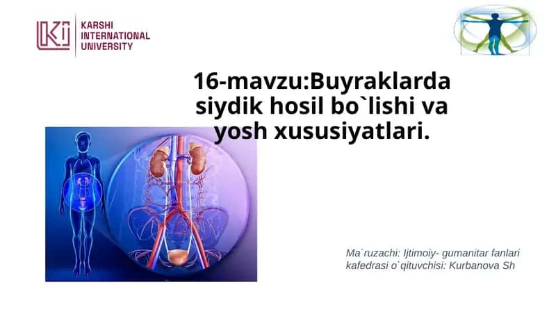 Buyraklarda siydik hosil bo`lishi va yosh xususiyatlari 1