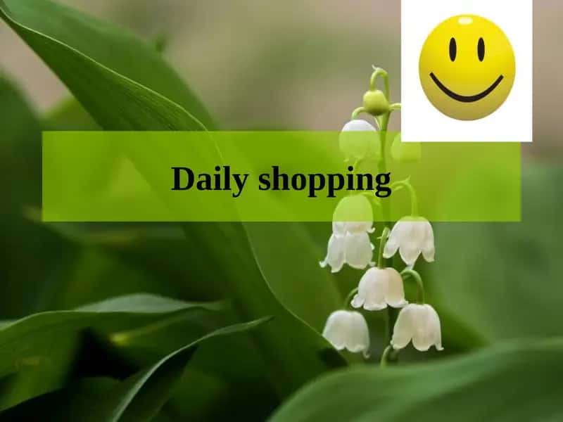 Daily shopping 1