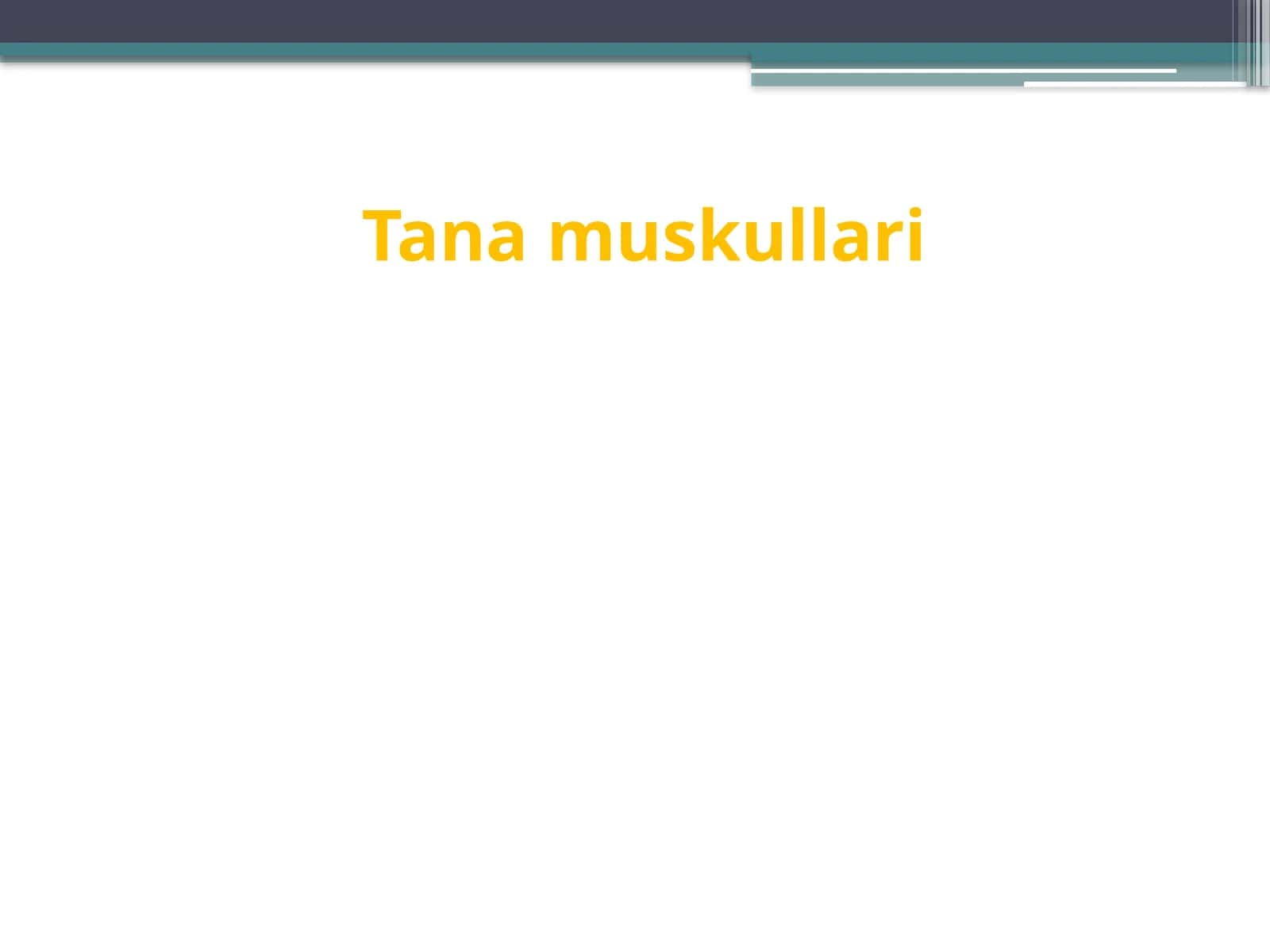Tanamuskullari 1