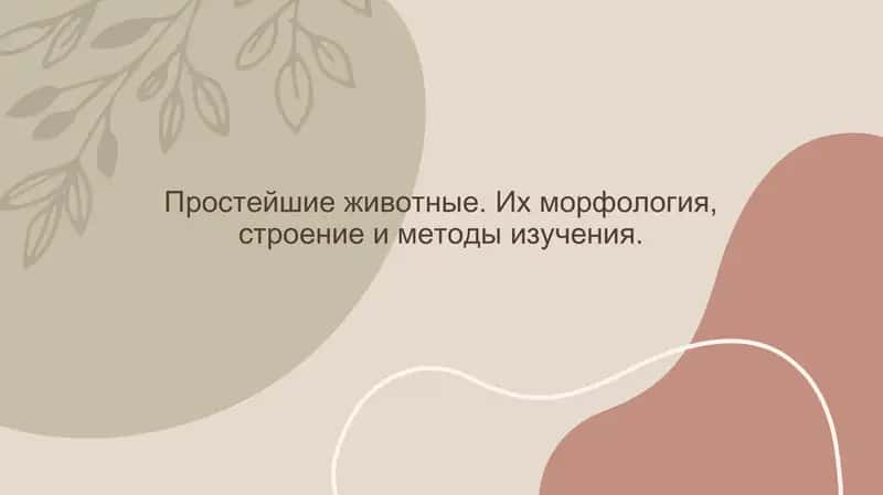Простейшие животные. Их морфология, строение и методы изучения. 1