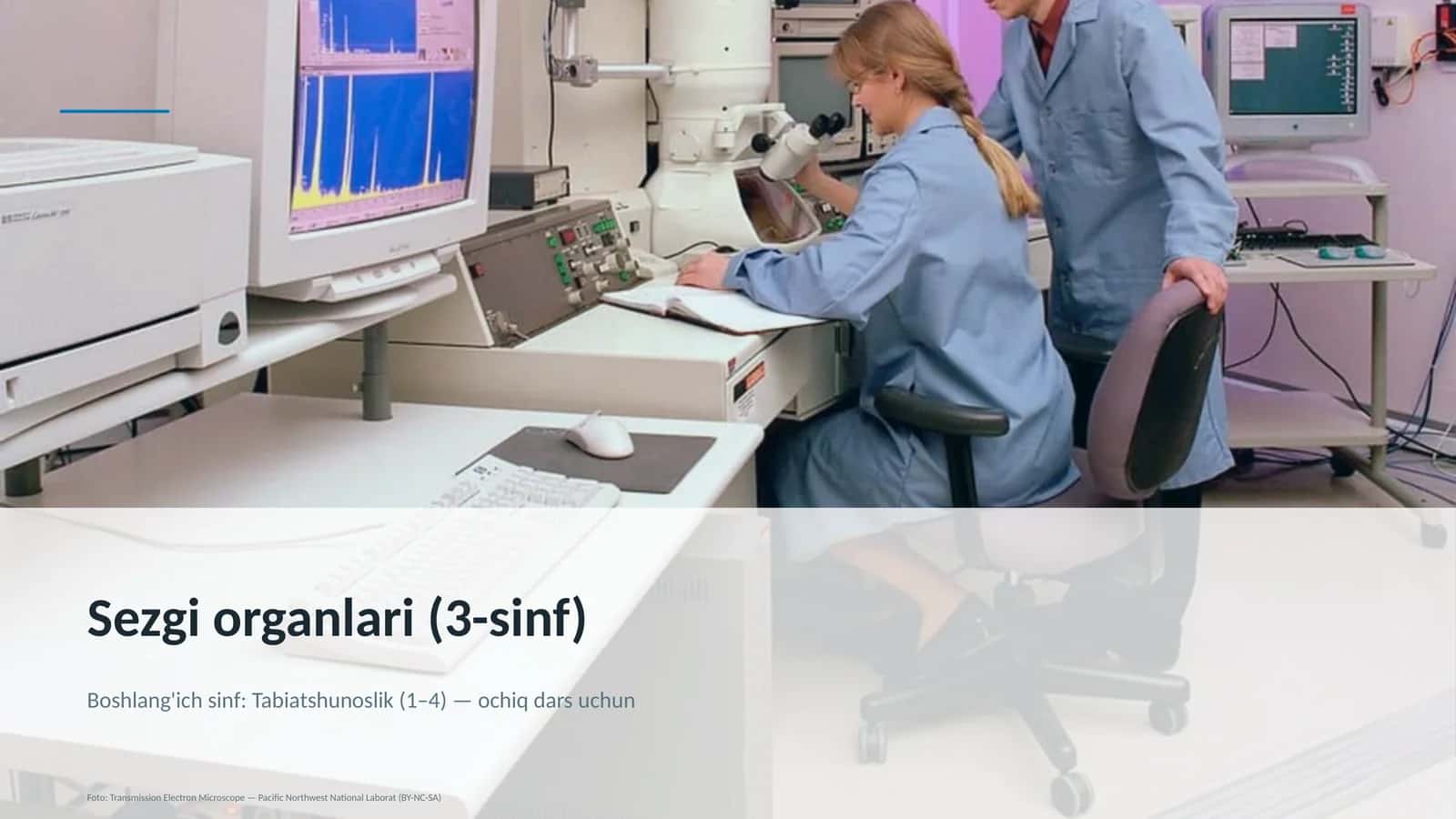 Sezgi organlari (3-sinf) 1