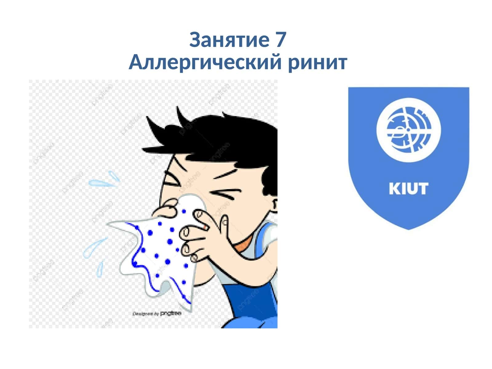 Аллергический ринит 1
