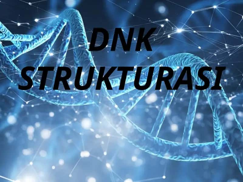 DNKSTRUKTURASI 1