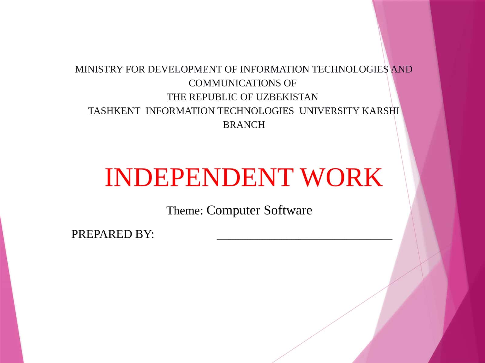 Computer Software 1